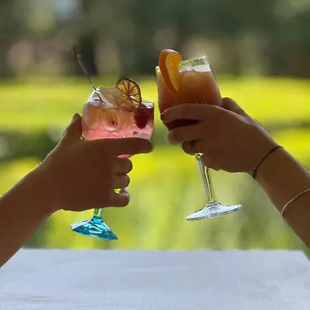 Restaurant Les Boissieres 3* Bioule