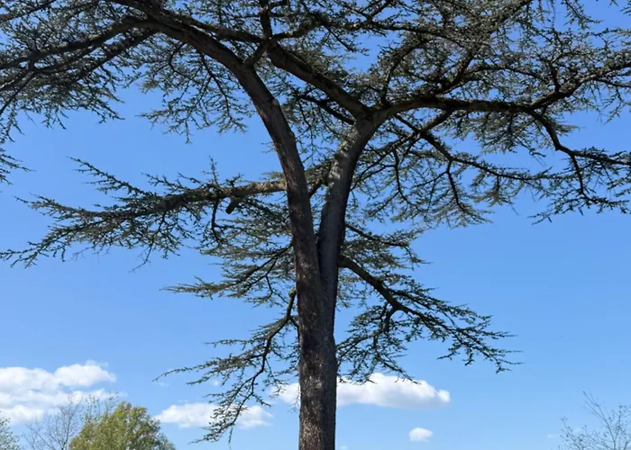 Restaurant Les Boissières